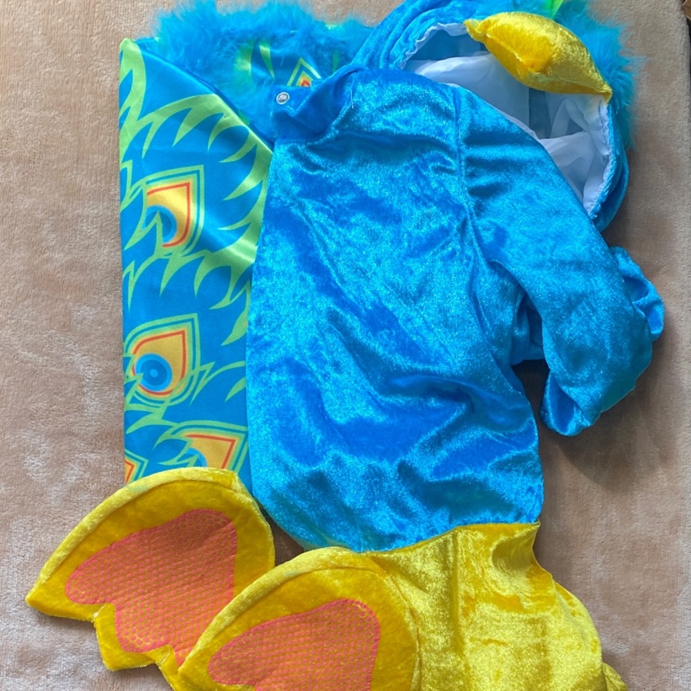 Colorful Peacock Kids Costume